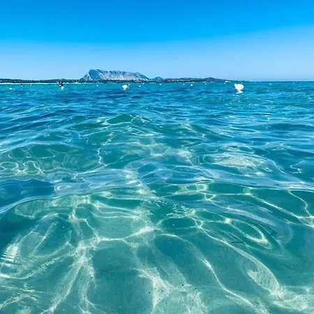 Smeraldo Con Giardino Casa vacanze Monte Petrosu
